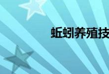 蚯蚓養(yǎng)殖技術（飼養(yǎng)管理）