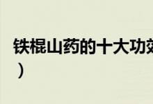 鐵棍山藥的十大功效(鐵棍山藥有哪十大功效)