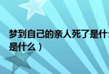 夢到自己的親人死了是什么意思（夢到自己的親人死了意思是什么）