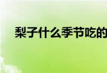 梨子什么季節(jié)吃的（梨子什么季節(jié)成熟）