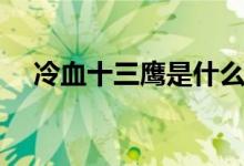 冷血十三鷹是什么電視?。阌锌催^(guò)嗎）