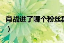 肖戰(zhàn)進(jìn)了哪個(gè)粉絲群（肖戰(zhàn)官方粉絲群怎么進(jìn)）