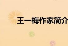 王一梅作家簡介(王一梅作家介紹)
