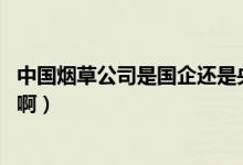 中國煙草公司是國企還是央企（中國煙草是央企嗎 還是國企?。?class=