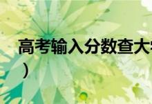 高考輸入分?jǐn)?shù)查大學(xué)2022（預(yù)測學(xué)校的軟件）