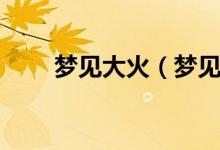 夢見大火（夢見起大火是什么意思）