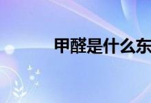 甲醛是什么東西（甲醛的解釋）