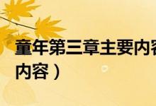 童年第三章主要內容100字（童年第三章主要內容）