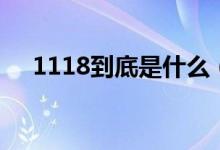 1118到底是什么（1118是個(gè)什么東西）