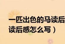 一匹出色的馬讀后感20個(gè)字（一匹出色的馬讀后感怎么寫）