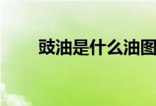 豉油是什么油圖片（豉油是什么油）