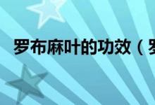 羅布麻葉的功效（羅布麻葉的功效是什么）