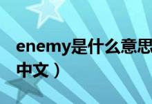 enemy是什么意思翻譯(enemy是什么意思中文)