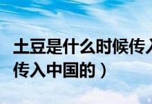 土豆是什么時候傳入朝鮮的（土豆是什么時候傳入中國的）