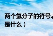 兩個氫分子的符號表達式（兩個氫分子的符號是什么）