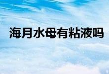 海月水母有粘液嗎（海月水母有沒有粘液）