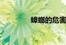 蟑螂的危害(主要有什么)