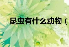昆蟲有什么動物（昆蟲類的動物有哪些）