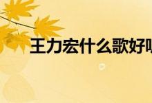 王力宏什么歌好聽（王力宏歌手簡介）