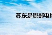 蘇東是哪部電視?。阌锌催^(guò)嗎）