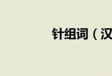 針組詞（漢字針怎么組詞）