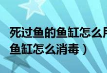 死過(guò)魚(yú)的魚(yú)缸怎么用二氧化氯消毒（死過(guò)魚(yú)的魚(yú)缸怎么消毒）