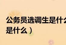 公務(wù)員選調(diào)生是什么意思（公務(wù)員選調(diào)生說的是什么）