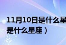 11月10日是什么星座農(nóng)歷和陽歷（11月10日是什么星座）