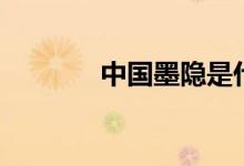 中國(guó)墨隱是什么（墨隱簡(jiǎn)介）