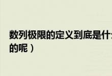 數列極限的定義到底是什么意思（數列極限的定義是怎么樣的呢）