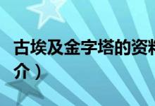 古埃及金字塔的資料（關(guān)于古埃及金字塔的簡(jiǎn)介）