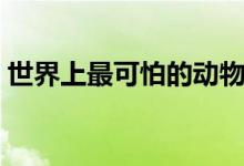 世界上最可怕的動(dòng)物（世界上最可怕的動(dòng)物）