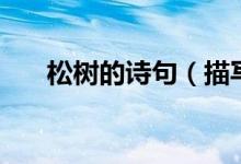 松樹的詩句(描寫松樹的詩句有哪些)