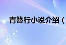 青簪行小說介紹（青簪行小說內(nèi)容簡介）