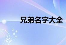 兄弟名字大全（兄弟網(wǎng)名有哪些）