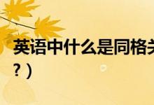 英語(yǔ)中什么是同格關(guān)系（英語(yǔ)中什么是同位語(yǔ)?）