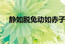 靜如脫兔動(dòng)如赤子什么意思（靜如脫兔）