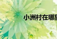 小洲村在哪里（你有去過(guò)嗎）