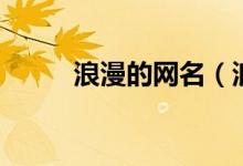 浪漫的網(wǎng)名（浪漫有詩意的網(wǎng)名）