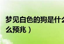 夢見白色的狗是什么意思（夢見白色的狗是什么預(yù)兆）
