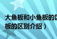 大魚(yú)板和小魚(yú)板的區(qū)別是什么（大魚(yú)板和小魚(yú)板的區(qū)別介紹）