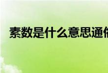 素?cái)?shù)是什么意思通俗些（素?cái)?shù)是什么意思）