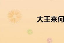 大王來(lái)何操（操句式）