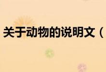關于動物的說明文（關于動物的說明文范文）