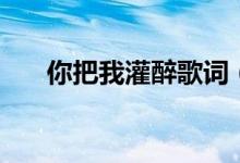 你把我灌醉歌詞（你把我灌醉歌簡介）