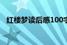 紅樓夢(mèng)讀后感100字（紅樓夢(mèng)讀后感示例）