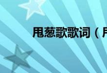 甩蔥歌歌詞(甩蔥歌歌詞是什么)