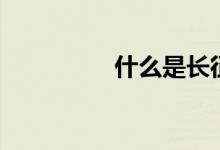 什么是長(zhǎng)征（長(zhǎng)征簡(jiǎn)介）