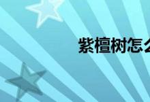 紫檀樹(shù)怎么養(yǎng)（長(zhǎng)得快）