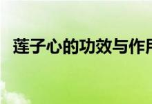 蓮子心的功效與作用（蓮子心有什么作用）